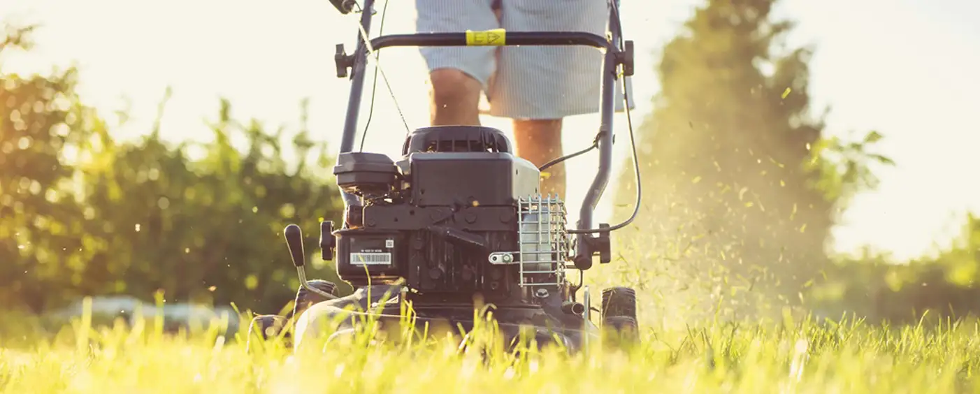 Giardinaggio a Bologna