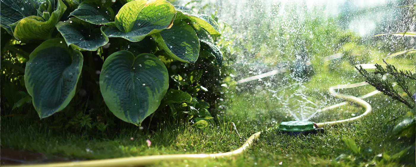 Impianti di irrigazione a Bologna