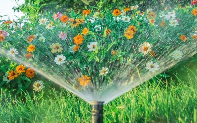 Blur of water in motion from a sprinkler in the garden against the background of flowers.Blurred action of watering flowers.